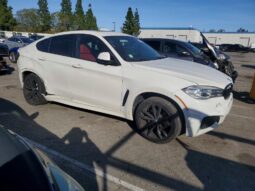 
										2019 BMW X6 full									