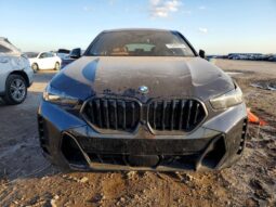 
										2026 BMW X6 full									