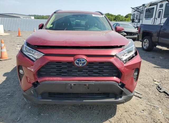 
								2019 Toyota Rav4 full									