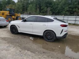 
										2024 BMW X6 full									