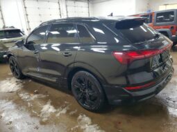 
										2022 Audi E-tron full									