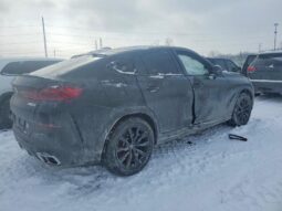
										2024 BMW X6 full									