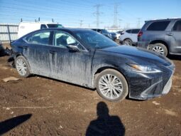 
										2019 Lexus Es 350 full									
