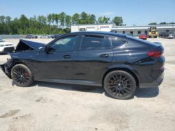 
										2023 BMW X6 full									