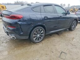
										2025 BMW X6 full									