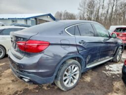 
										2015 BMW X6 full									