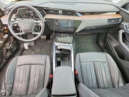
										2019 Audi E-tron full									
