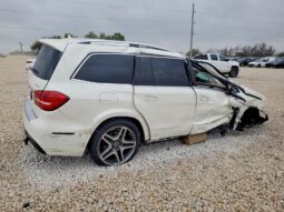 
										2019 Mercedes-benz Gls-klasse full									