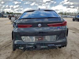 
										2023 BMW X6 full									