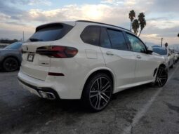
										2025 BMW X5 full									