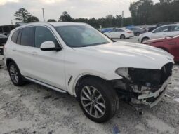 
										2019 BMW X3 full									