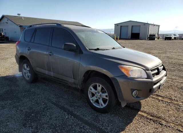 
								2012 Toyota Rav4 full									