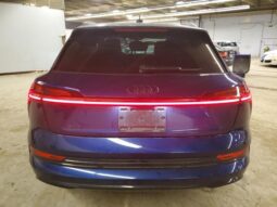 
										2022 Audi E-tron full									