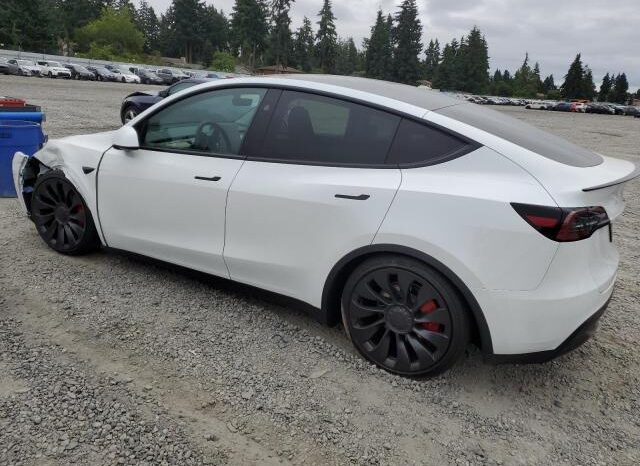
								2025 Tesla Model y full									