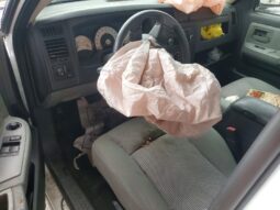 
										2010 Dodge Dakota full									