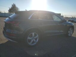 
										2019 Audi E-tron full									