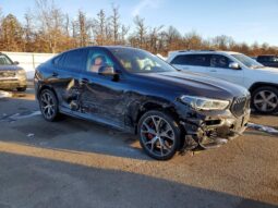 
										2022 BMW X6 full									