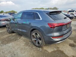 
										2019 Audi E-tron full									