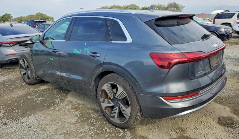 
								2019 Audi E-tron full									