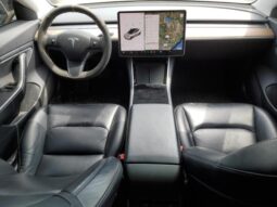 
										2019 Tesla Model 3 full									