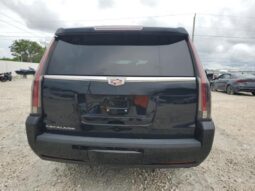 
										2019 Cadillac Escalade full									