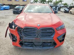 
										2025 BMW X6 full									