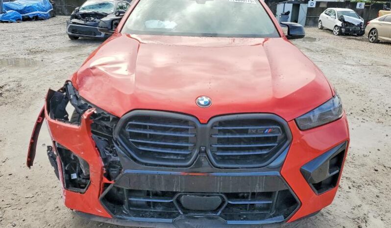 
								2025 BMW X6 full									
