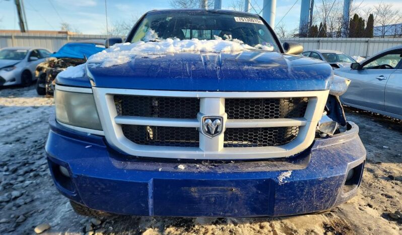 
								2011 Dodge Dakota full									