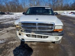 
										2004 Dodge Dakota full									