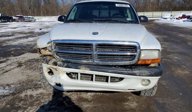 
								2004 Dodge Dakota full									
