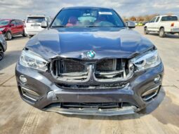 
										2019 BMW X6 full									