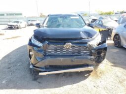 
										2019 Toyota Rav4 full									