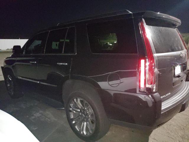 2019 Cadillac Escalade
