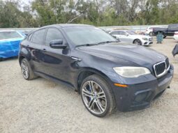 
										2013 BMW X6 full									