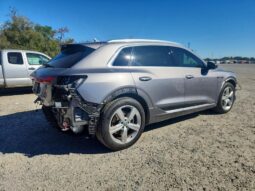 
										2019 Audi E-tron full									