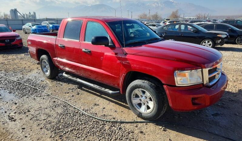
								2008 Dodge Dakota full									