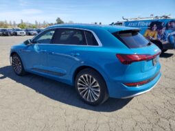 
										2019 Audi E-tron full									