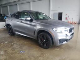 
										2019 BMW X6 full									