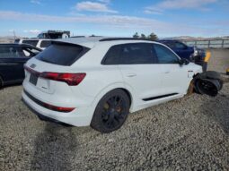 
										2022 Audi E-tron full									