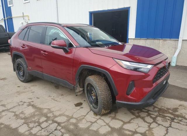 
								2024 Toyota Rav4 full									