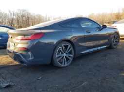 
										2019 BMW M8 full									