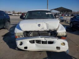 
										2001 Dodge Dakota full									