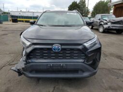 
										2024 Toyota Rav4 full									