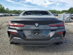 
										2024 BMW M8 full									