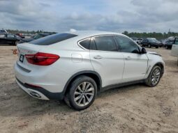 
										2019 BMW X6 full									