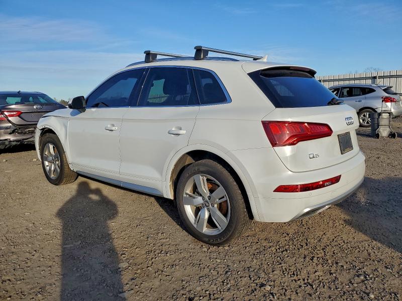 2019 Audi Q5