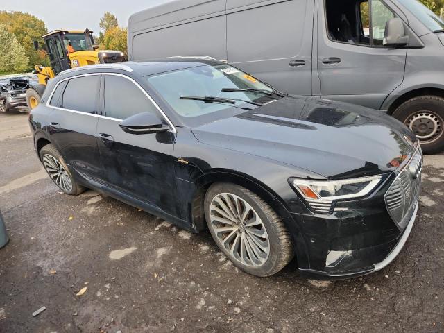 2019 Audi E-tron