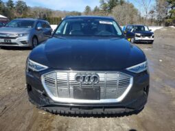 
										2019 Audi E-tron full									