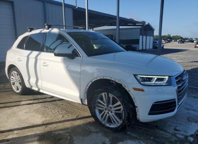 
								2019 Audi Q5 full									