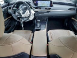 
										2019 Lexus Es 350 full									